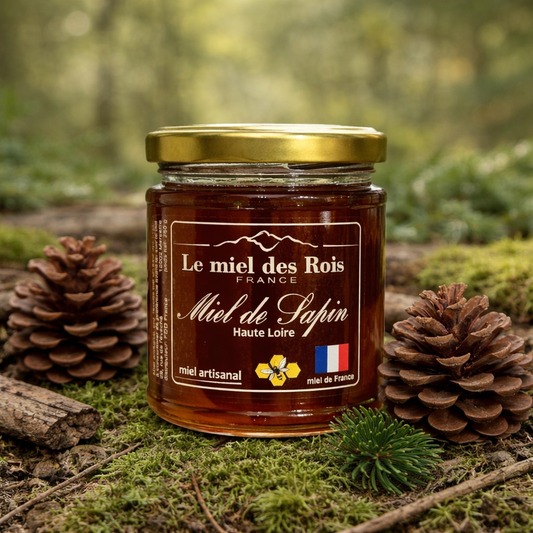 La force du miellat – au cœur du miel de sapin