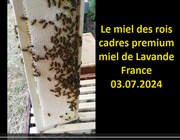 Miel cru  de Lavande de France en rayons premium