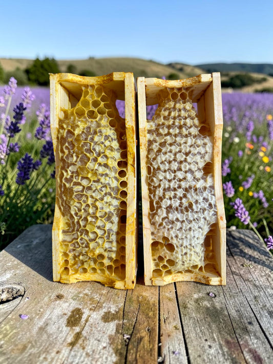 Duo de Miels en Rayon – Lavande et Toutes Fleurs de Provence