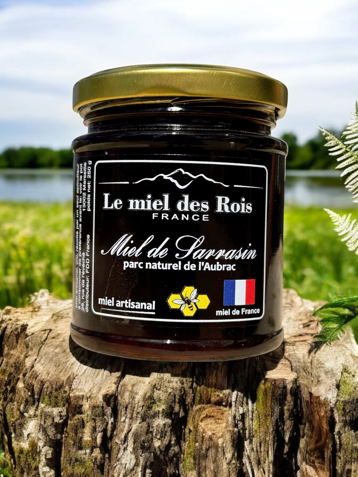 Miel de Sarrasin d'Occitanie