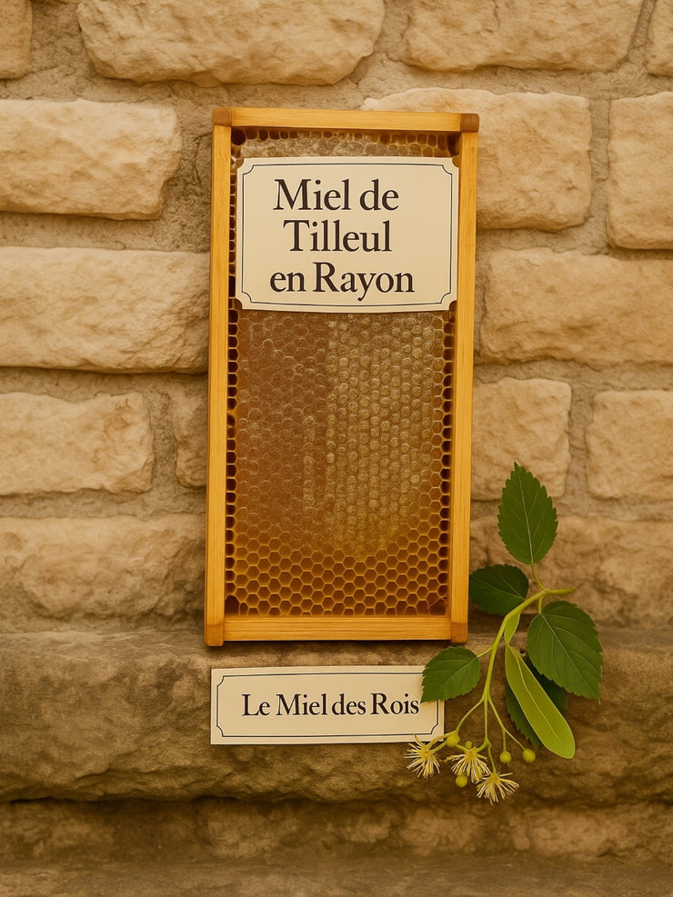 Miel cru de Tilleul de Provence / Marseille