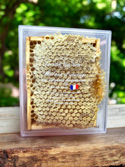 Raw honey from Provence mini premium radius