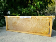 miel cru BIO en rayons premium