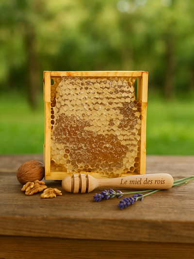 Miel en rayon de  Lavande de Provence (alvéoles de miel cru)