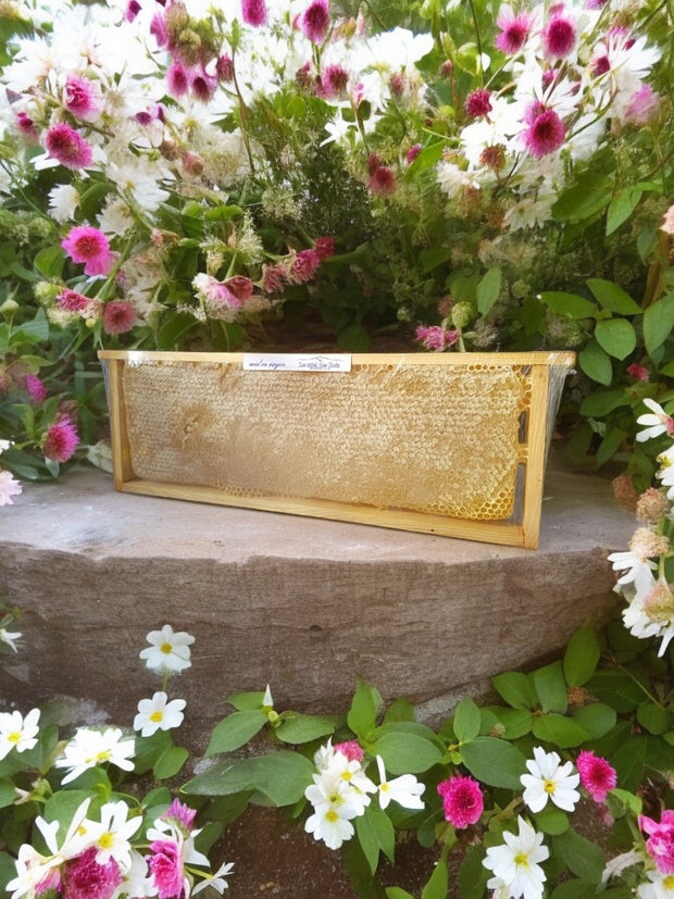 Miel cru toutes fleurs Bio de France en rayons premium