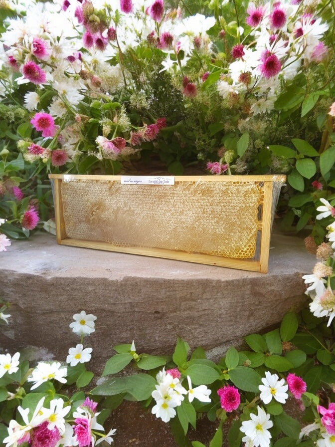 Miel cru toutes fleurs Bio de France en rayons premium