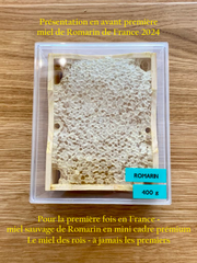 Miel brut de Provence mini rayon prémium